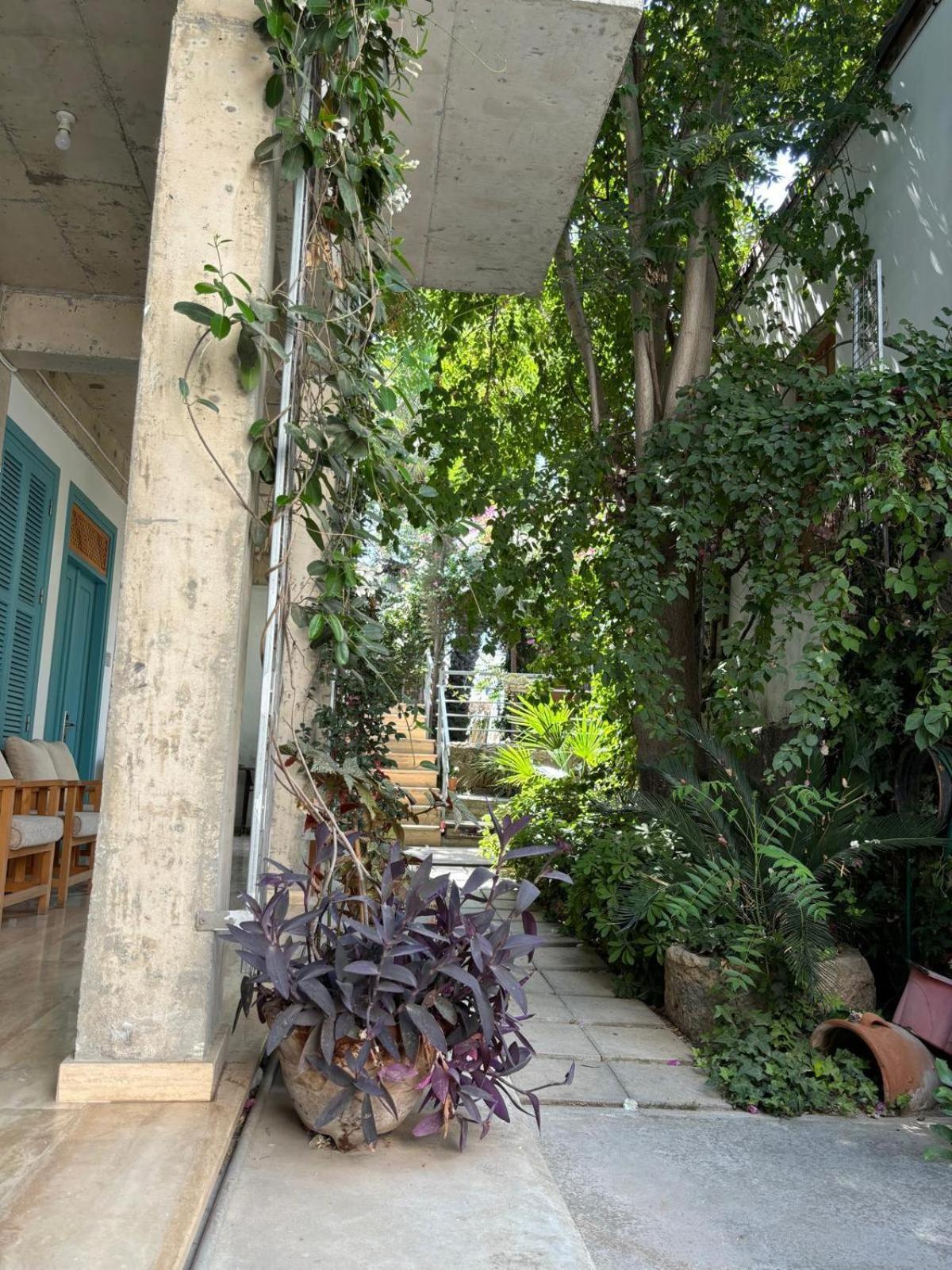 מלון Nicosia Eagle Eye מראה חיצוני תמונה